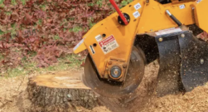 stump removal techniques Adelaide